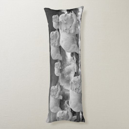 COUSSINS LONGS VOYAGE ÉLÉPHANT (Dos (Vertical))