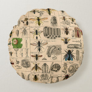 Coussins Ronds Abeille Insecte Bug Wasp Histoire naturelle abeill