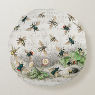 Coussins Ronds Abeille Reine Entomologie Botanique Vintage