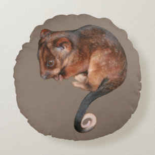 Coussins Ronds Adorable Baby Ringtail Possum en Australie