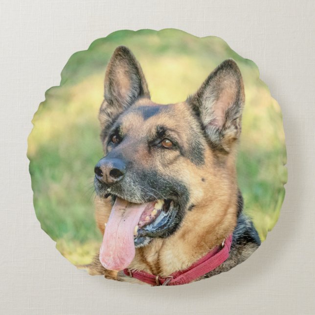 Coussins Ronds Allemand Shepard (Devant)