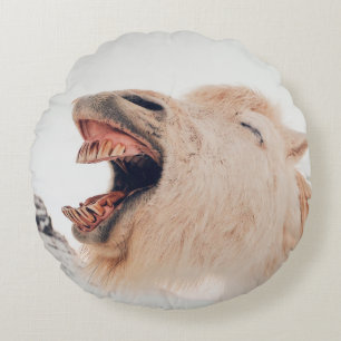 COUSSINS RONDS ALPAGA LAMA MIGNON EN TRAIN DE RIRE