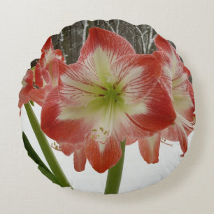 Coussins Ronds Amaryllis dans la neige Fleurs rouges de vacances
