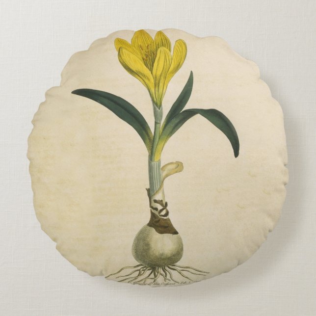 Coussins Ronds Amaryllis Tulip Jardin Botanique Fleur (Devant)