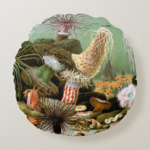 Coussins Ronds Anémones de mer Vie marine, Animaux marins vintage