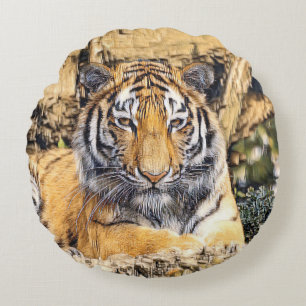 Coussins Ronds AnimalMix_Tiger_009