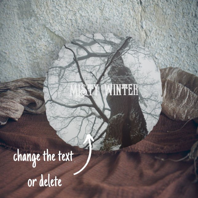 Coussins Ronds Arbre ancien dans une forêt humide (Créateur téléchargé)