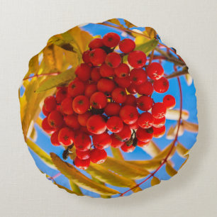 Coussins Ronds Ashberry