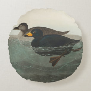 Coussins Ronds Audubon American Scoter Duck Classic