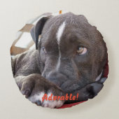 Coussins Ronds Baby Pitbull Puppy (Dos)