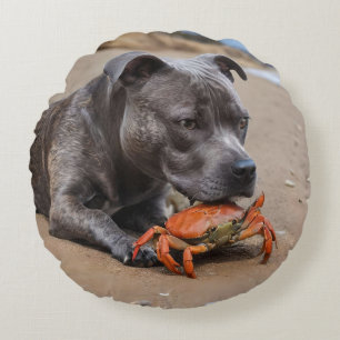 Coussins Ronds "Beachside Pals : A Staffy and its Crab Companion"