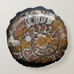 Coussins Ronds Beau carreau rond de Shell d'escargot