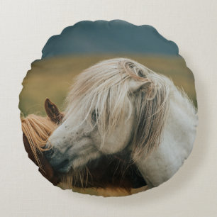 COUSSINS RONDS BEAU CHEVAL COUPLE