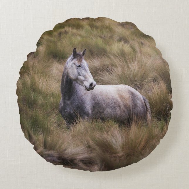 Coussins Ronds Beau cheval de couleur grise (Devant)