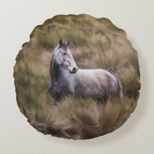 Coussins Ronds Beau cheval gris couleur