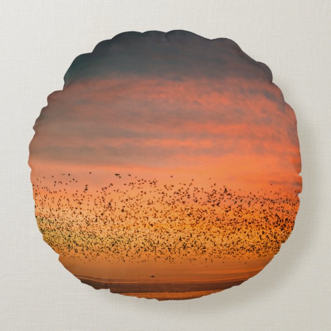 COUSSINS RONDS BEAU COUCHER DE SOLEIL AVEC OISEAUX (Devant)
