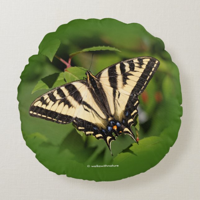 Coussins Ronds Beau papillon de l'Ouest de Tigre Swallowtail (Devant)