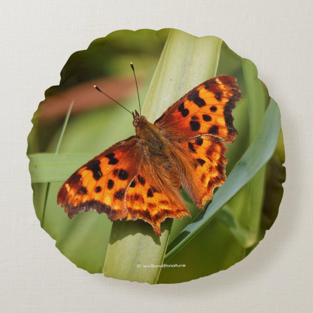 Coussins Ronds Beautiful Orange Satyr Comma Butterfly (Devant)