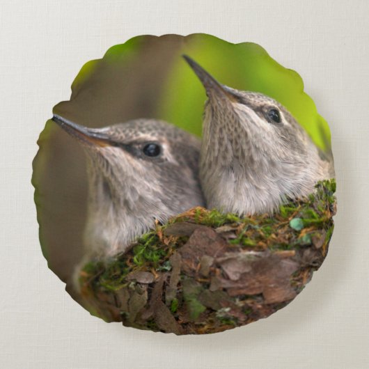 Coussins Ronds Bébés colibris (Devant)