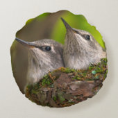 Coussins Ronds Bébés colibris (Dos)