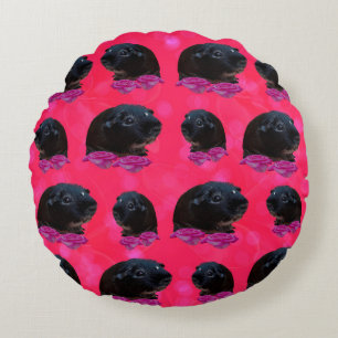 Coussins Ronds Black Guinée Pigs On Pretty Pink Rose