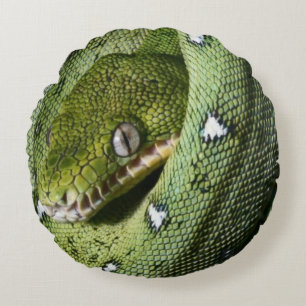 Coussins Ronds Boa vert de serpent vert d'arbre en Bolivie