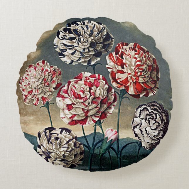 Coussins Ronds Botanique Fleurs oeillets (Devant)
