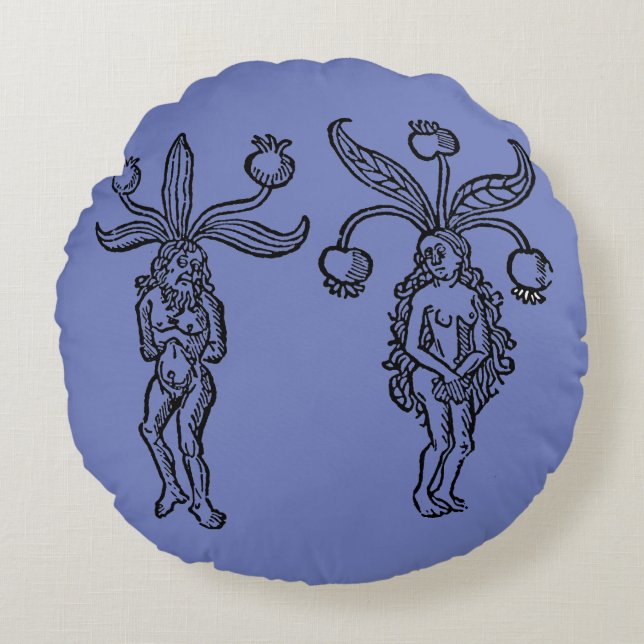 Coussins Ronds Botanique : Mandragore, 1476 (Devant)