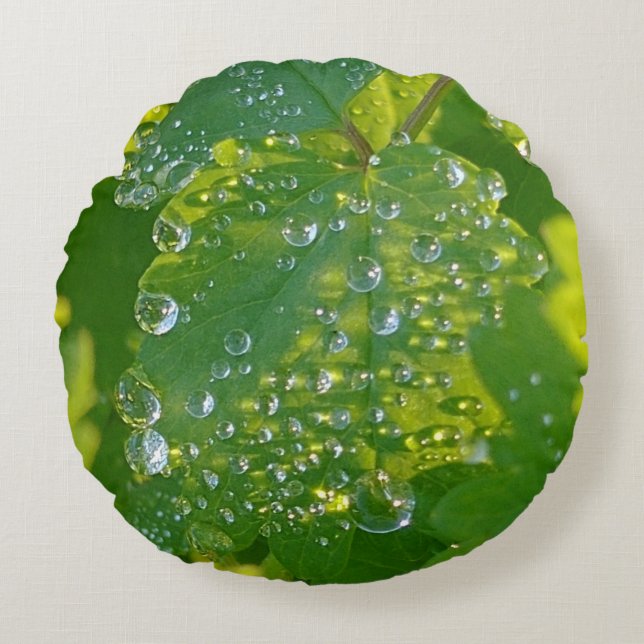 Coussins Ronds Boutons cool Sur Feuille Verte (Devant)