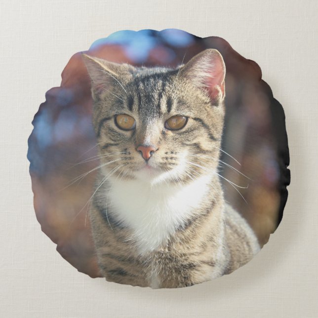 Coussins Ronds Brin (Devant)