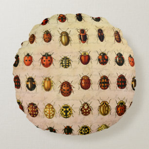 Coussins Ronds Bug d'insectes coccinelle de coccinelle
