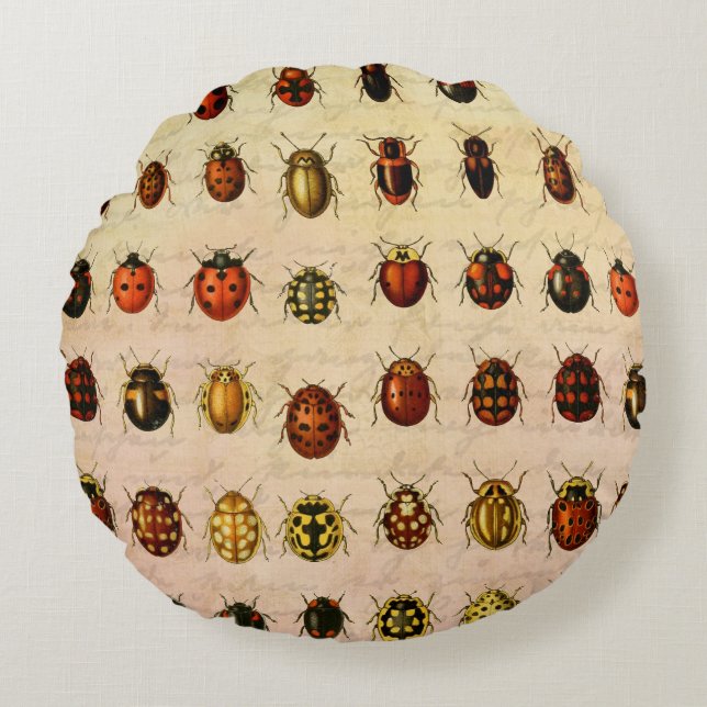 Coussins Ronds Bug d'insectes coccinelle de coccinelle (Devant)
