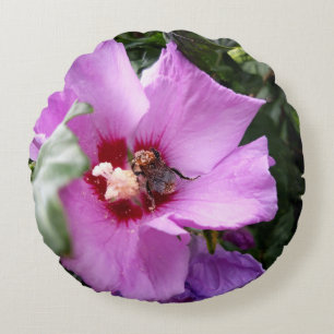 Coussins Ronds Bumblebebe sur la fleur d'Hibiscus