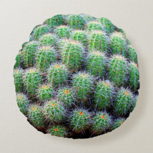 Coussins Ronds cactus baril vert