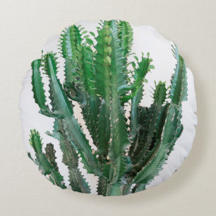 Coussins Ronds Cactus vert sur arrière - plan blanc.