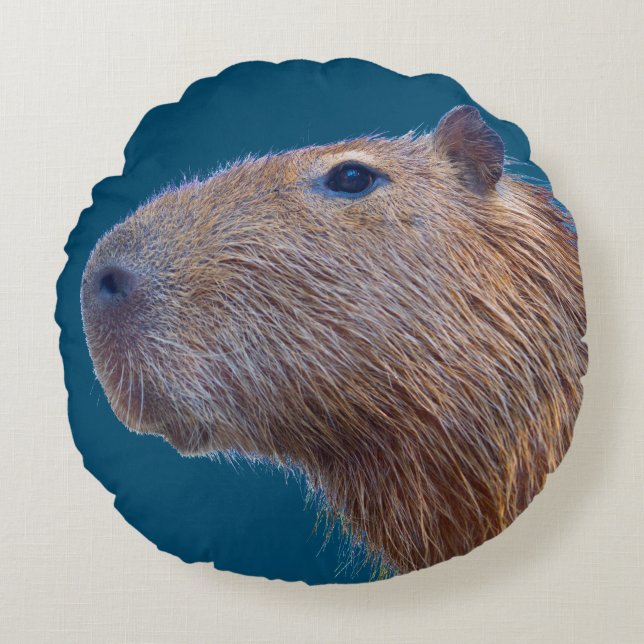 Coussins Ronds Capybara (Devant)