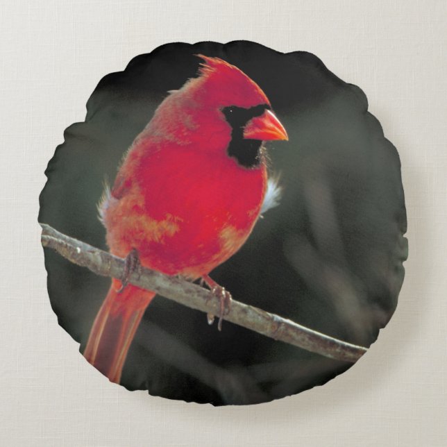 Coussins Ronds Cardinal rouge perché sur une branche d'arbre (Devant)