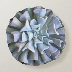 Coussins Ronds Carreau succulent rond