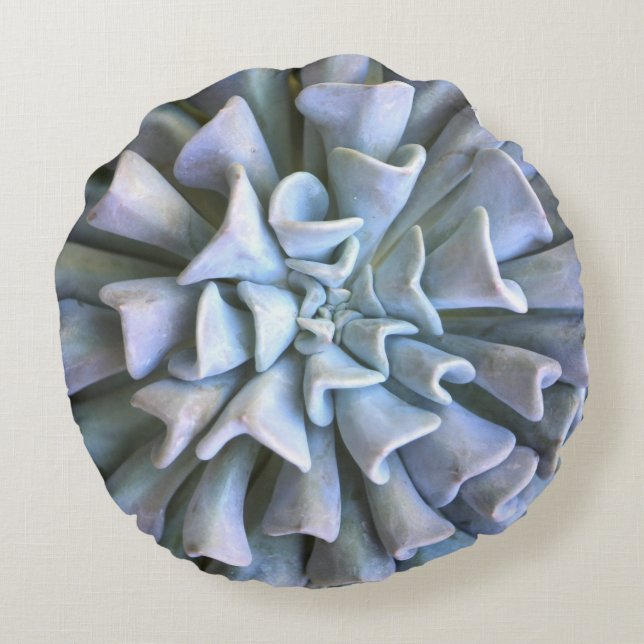 Coussins Ronds Carreau succulent rond (Dos)