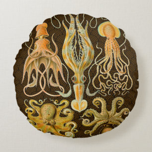 Coussins Ronds Cephalopod poulpe calmar Nature marine