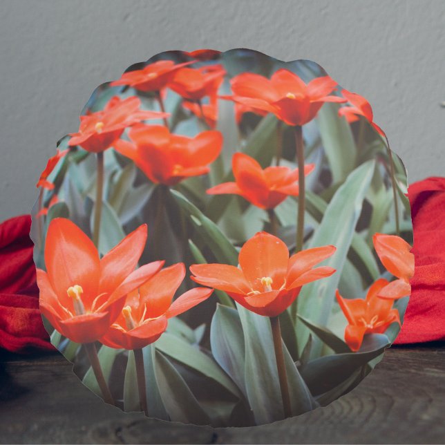 Coussins Ronds Champ de tulipe rouge (Créateur téléchargé)