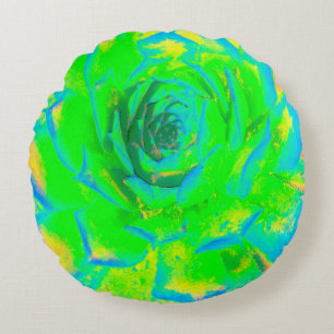 Coussins Ronds Chartreuse Vert Citron Succulente Sedum Rosette
