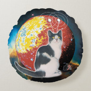 Coussins Ronds Chat Hobo Robotisé