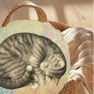 Coussins Ronds Chat roulé en boule endormi sur courtepointe migno