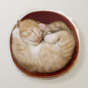 Coussins Ronds Chaton de sommeil