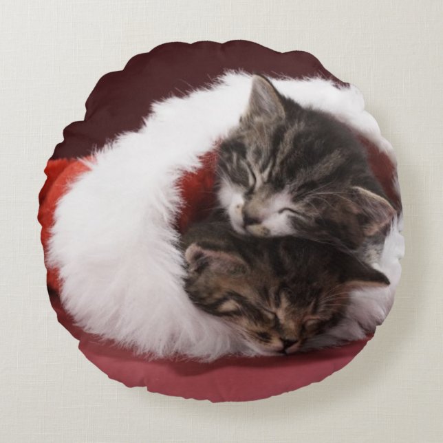 Coussins Ronds Chatons endormis ensemble dans le casquette de (Devant)