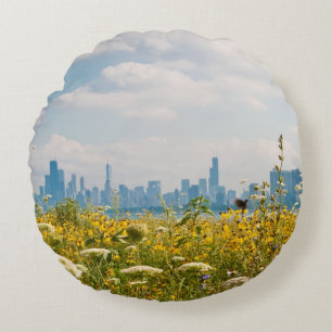 Coussins Ronds Chicago comme vu de l'oiseau du port de Montrose