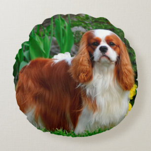 Coussins Ronds Chien coquelicot de Blenheim Cavalier
