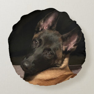 Coussins Ronds Chien Malinois belge