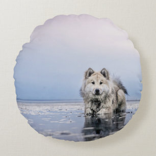 COUSSINS RONDS CHIEN SUR LE CORPS CALME DE L'EAU
